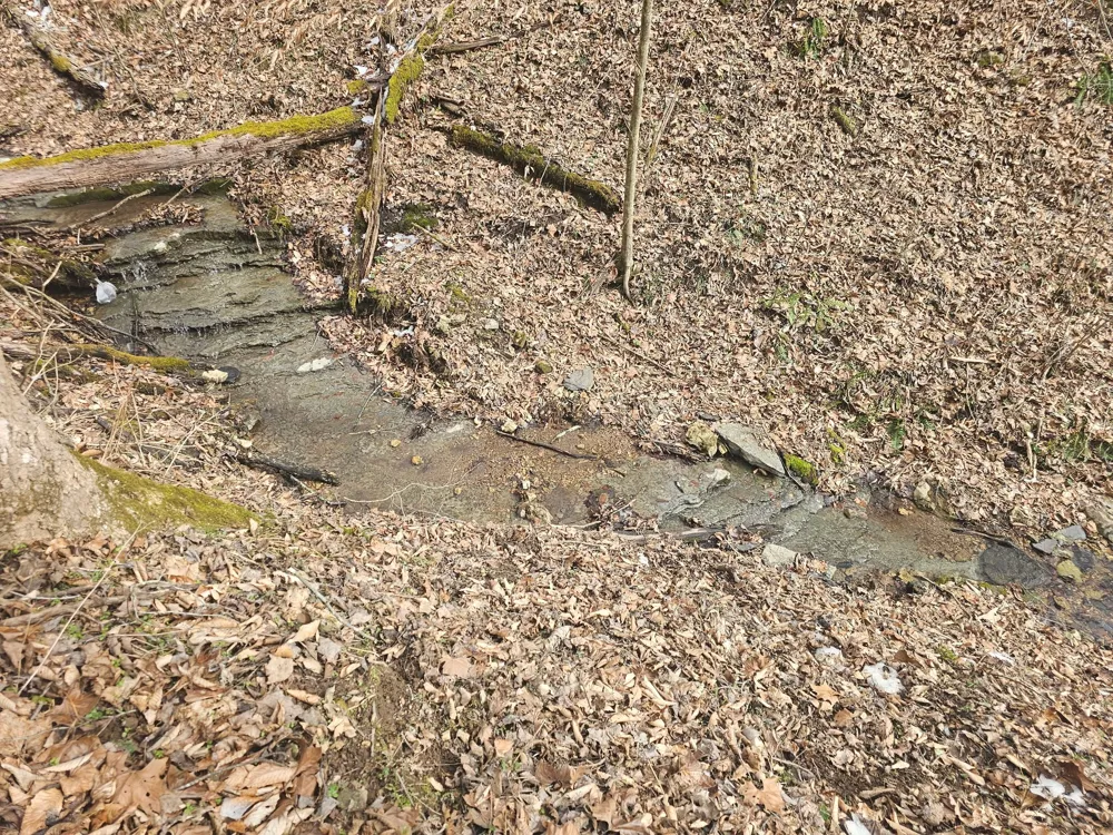0 Wartrace Rd Red Boiling Springs, TN 37150
