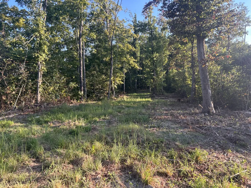 0 Wartrace Rd Red Boiling Springs, TN 37150