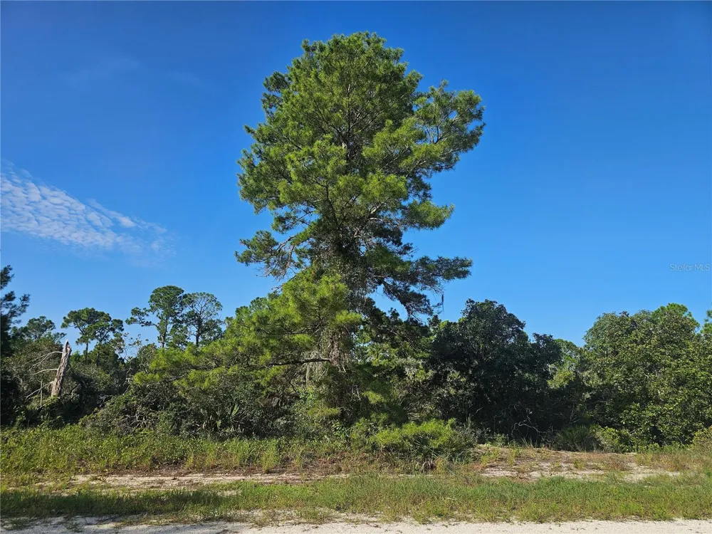 476 LAKE HELEN DRIVE Lake Placid, FL 33852