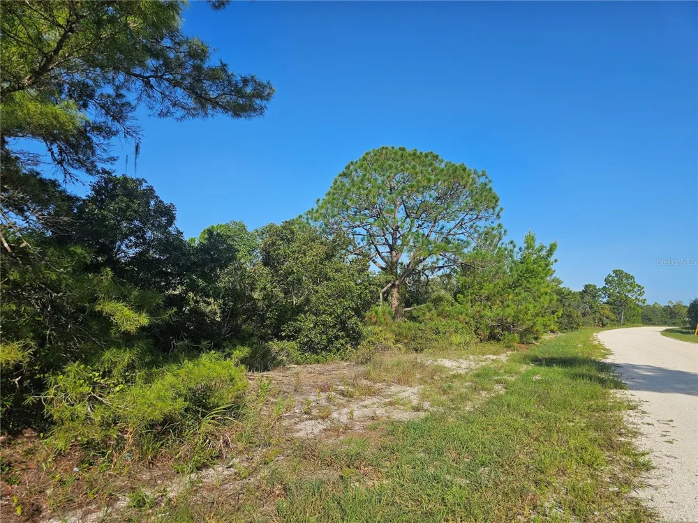 476 LAKE HELEN DRIVE Lake Placid, FL 33852