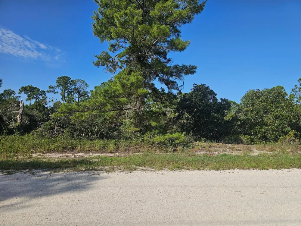 476 LAKE HELEN DRIVE Lake Placid, FL 33852