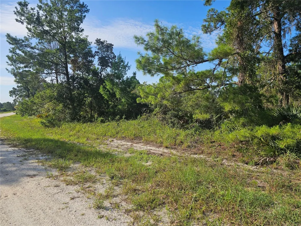 476 LAKE HELEN DRIVE Lake Placid, FL 33852