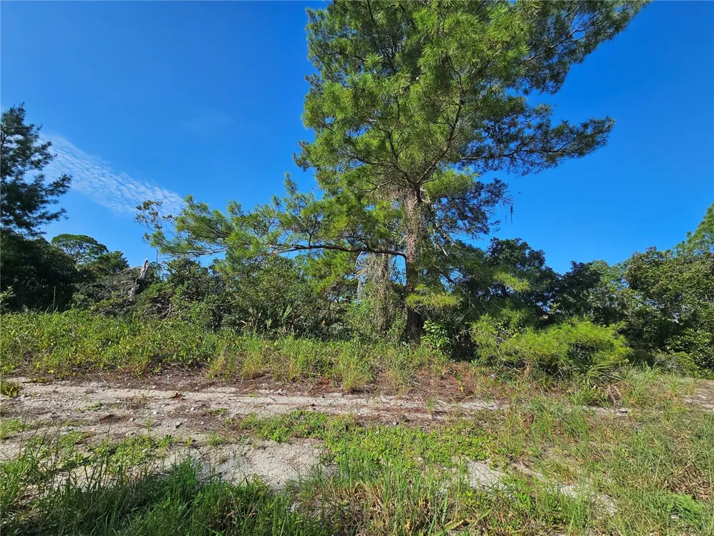 476 LAKE HELEN DRIVE Lake Placid, FL 33852
