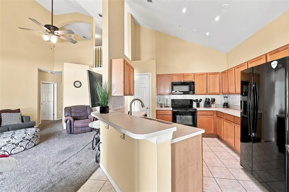 2915 BLOOMING ALAMANDA LOOP Kissimmee, FL 34747