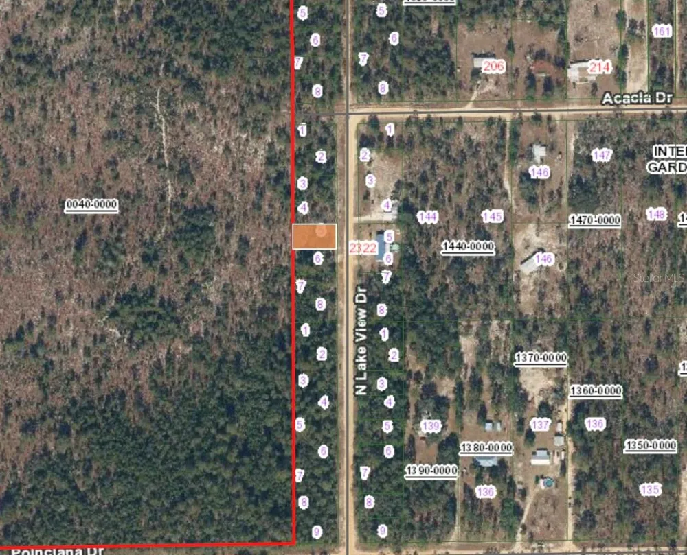 XX N LAKEVIEW DR LOT 142/5 Interlachen, FL 32148