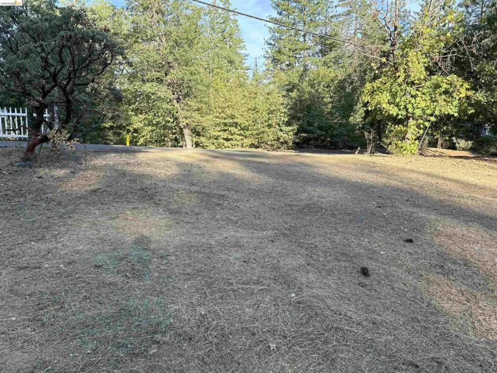 10162 Holtzel Road Coulterville, CA 95311