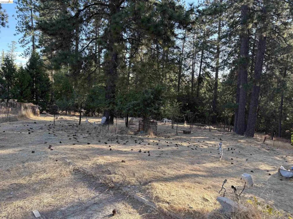 10162 Holtzel Road Coulterville, CA 95311