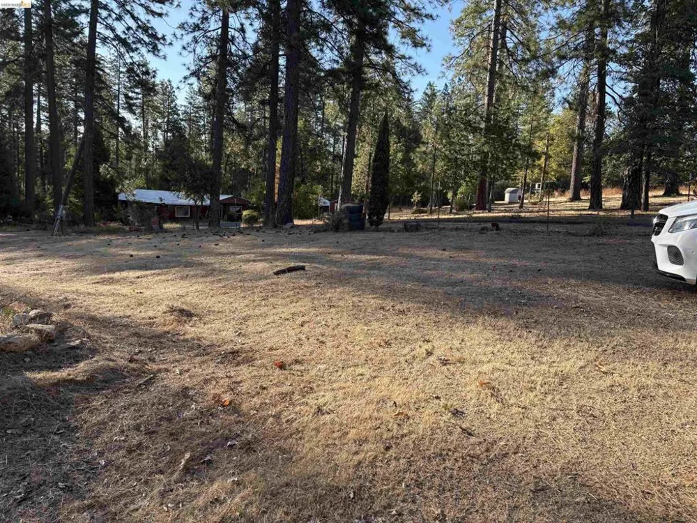 10162 Holtzel Road Coulterville, CA 95311