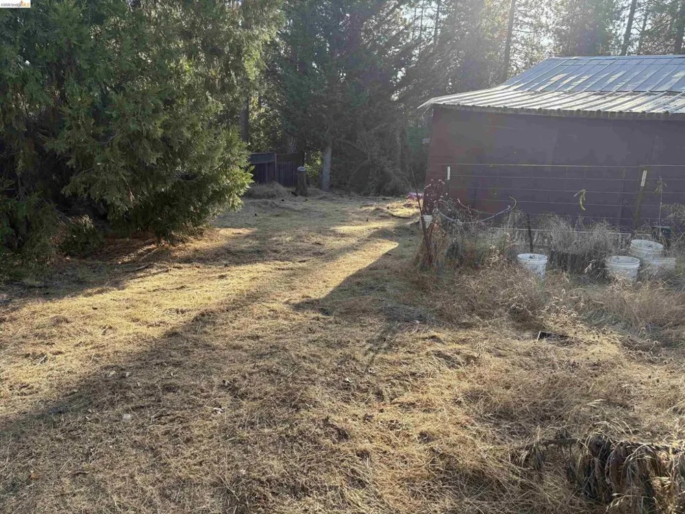 10162 Holtzel Road Coulterville, CA 95311