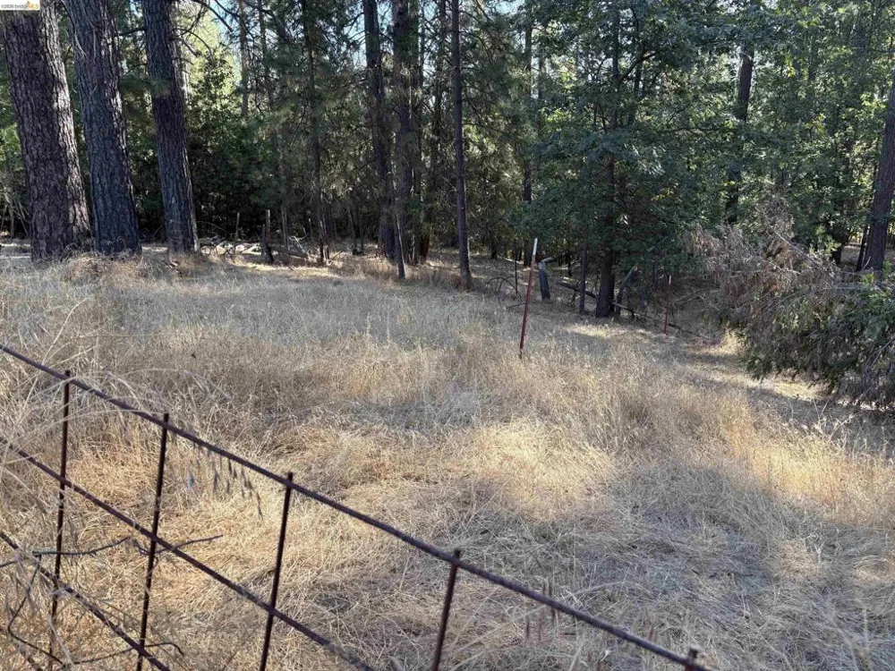 10162 Holtzel Road Coulterville, CA 95311