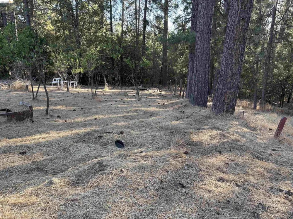 10162 Holtzel Road Coulterville, CA 95311