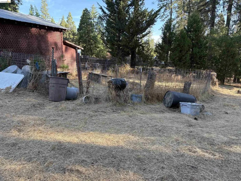 10162 Holtzel Road Coulterville, CA 95311