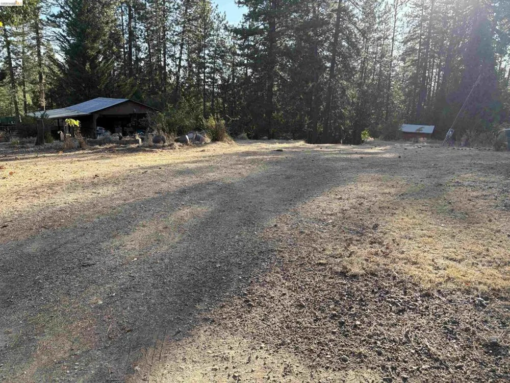 10162 Holtzel Road Coulterville, CA 95311