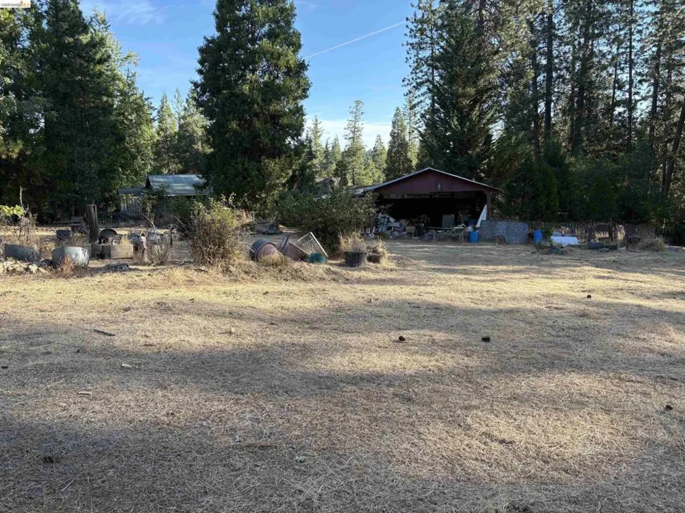 10162 Holtzel Road Coulterville, CA 95311