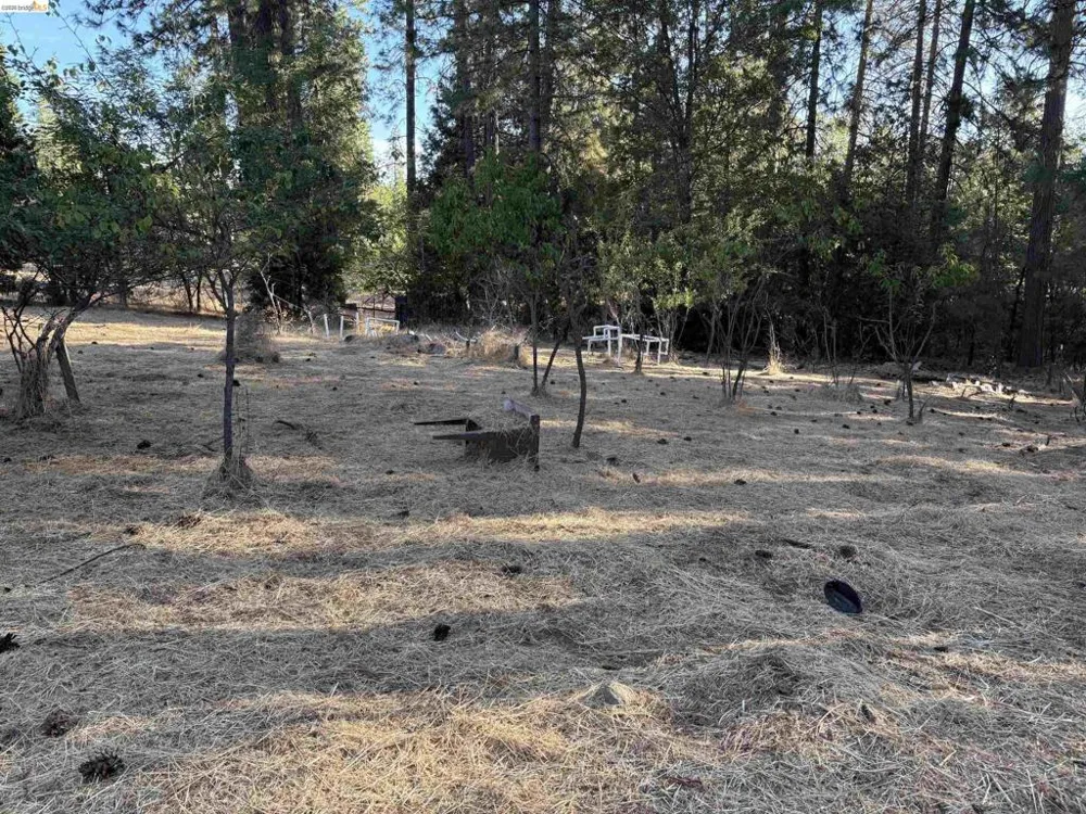 10162 Holtzel Road Coulterville, CA 95311