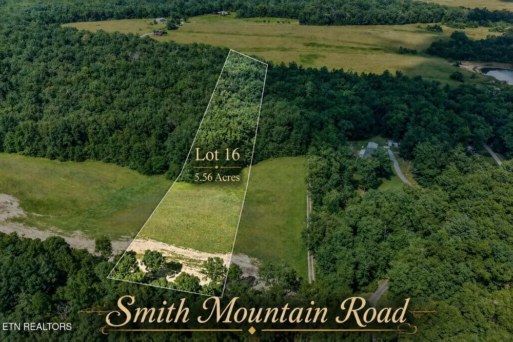 16 Smith Mountain Rd Rockwood, TN 37854