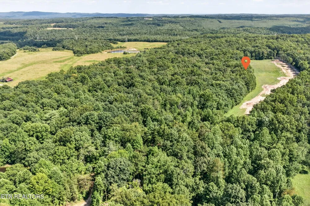 16 Smith Mountain Rd Rockwood, TN 37854