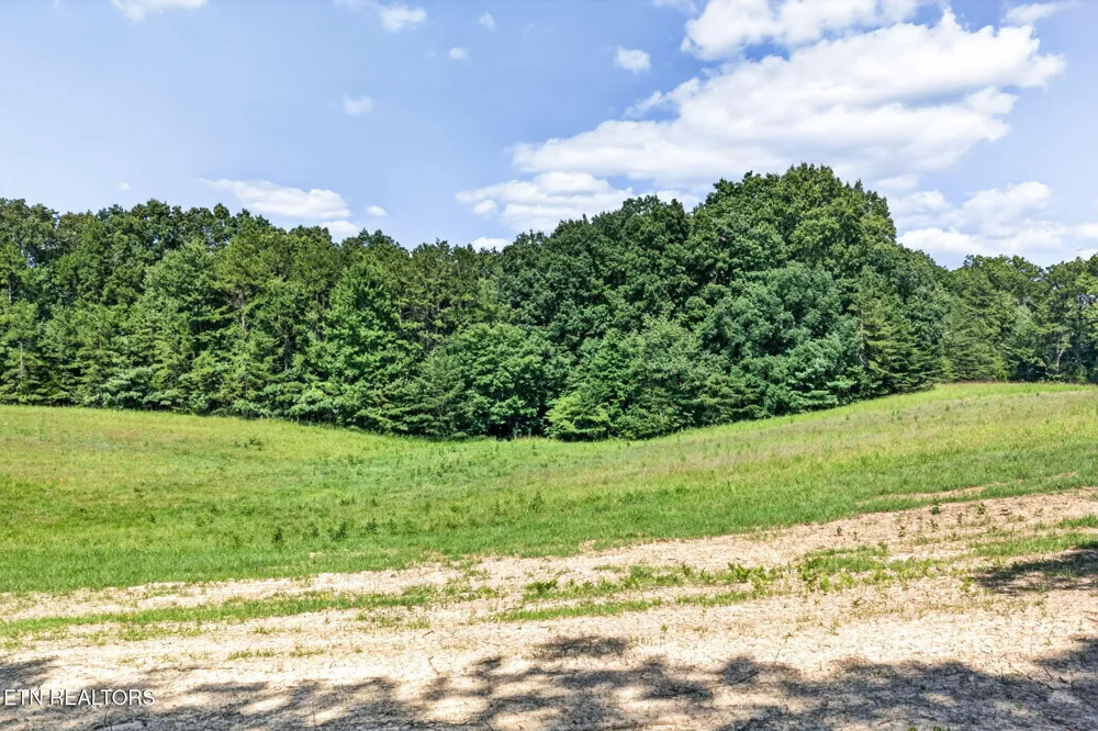 16 Smith Mountain Rd Rockwood, TN 37854