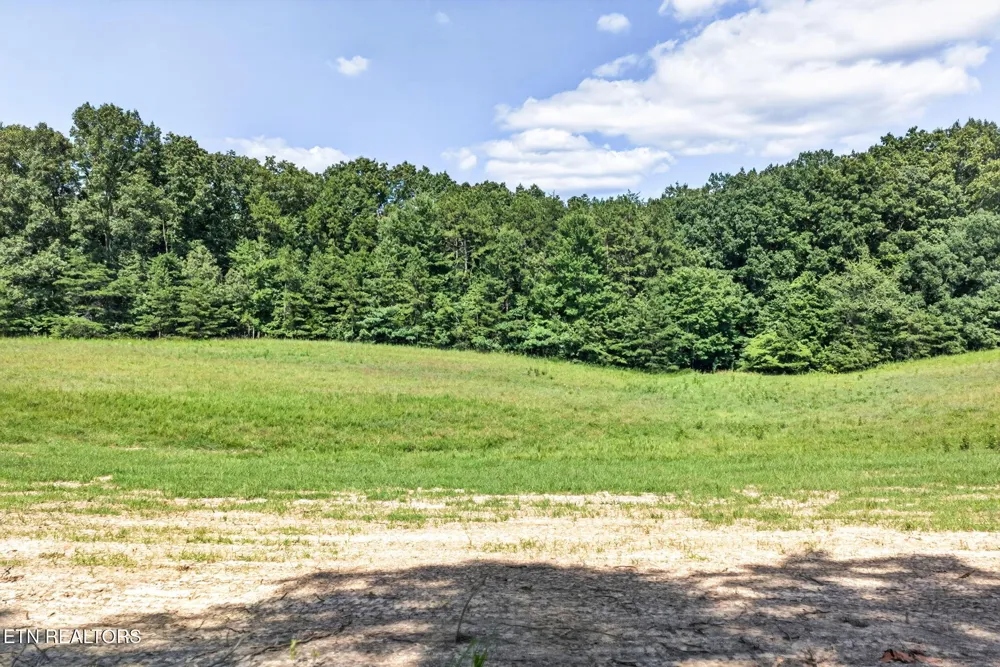 16 Smith Mountain Rd Rockwood, TN 37854