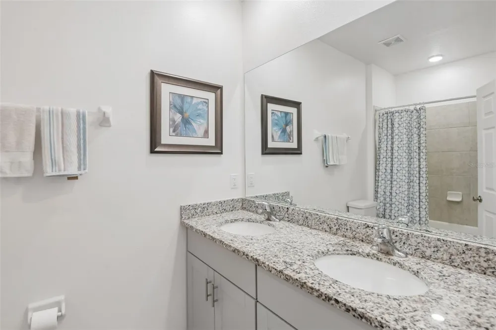 34162 ROGALLO LANE Wesley Chapel, FL 33545