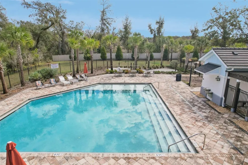 34162 ROGALLO LANE Wesley Chapel, FL 33545