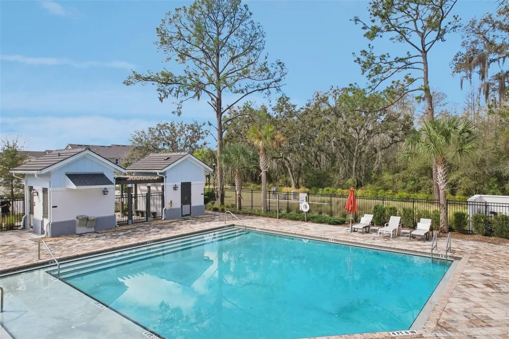34162 ROGALLO LANE Wesley Chapel, FL 33545