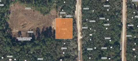 XX JACKSON AVE INTERLACHEN FL