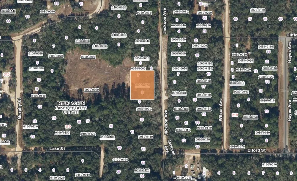 XX JACKSON AVE INTERLACHEN FL Interlachen, FL 32148