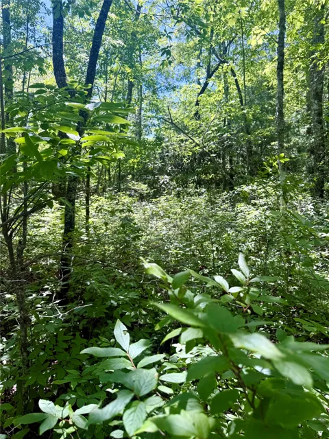 TBD Indian Lake Road
