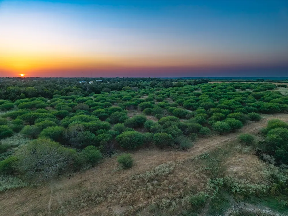 County Road 156 Hallettsville, TX 77964