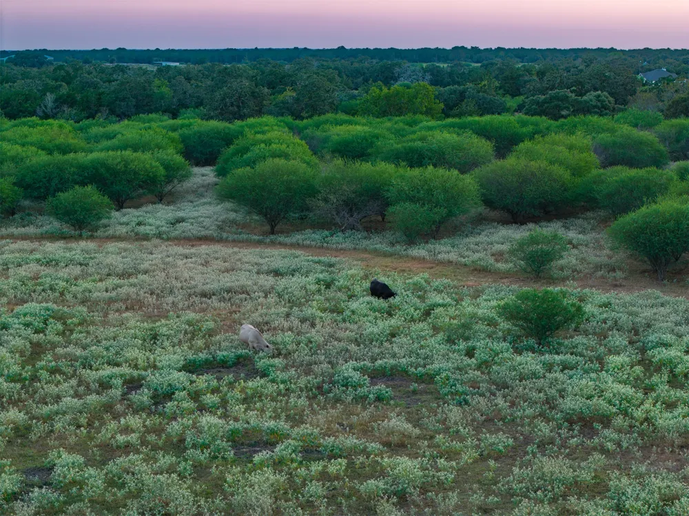 County Road 156 Hallettsville, TX 77964