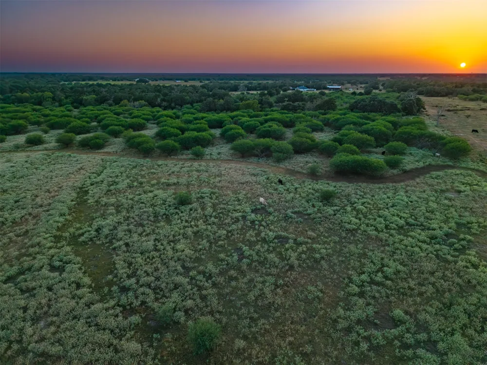 County Road 156 Hallettsville, TX 77964