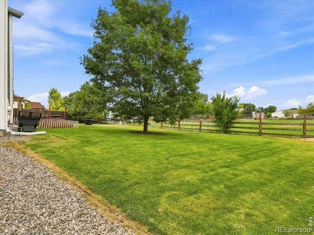 542 S Savannah Circle Milliken, CO 80543