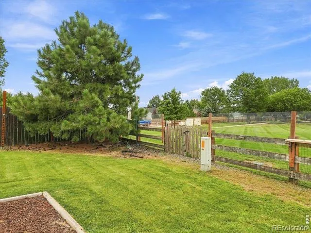 542 S Savannah Circle Milliken, CO 80543