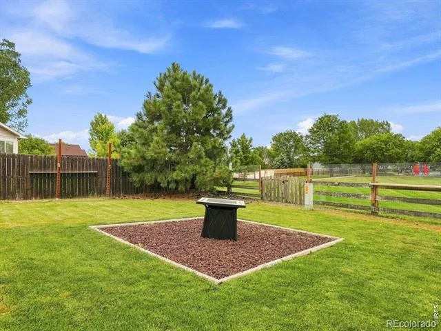 542 S Savannah Circle Milliken, CO 80543