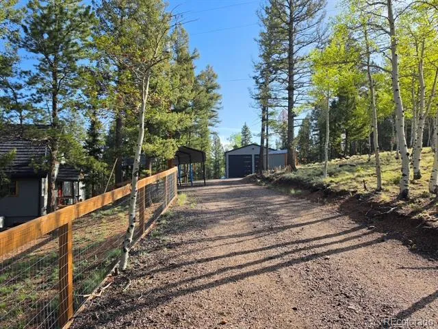 87 Bonanza Circle Florissant, CO 80816