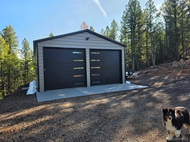 87 Bonanza Circle Florissant, CO 80816
