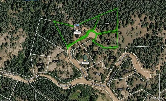 87 Bonanza Circle Florissant, CO 80816