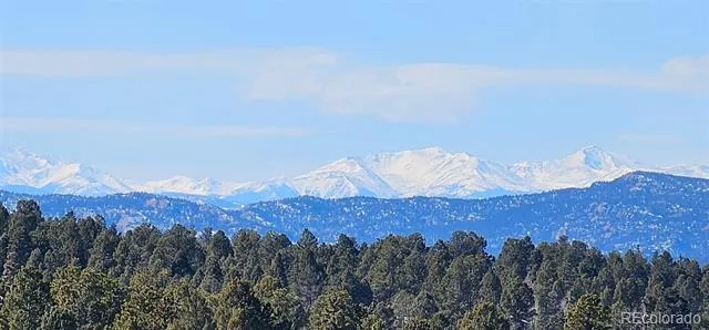 87 Bonanza Circle Florissant, CO 80816