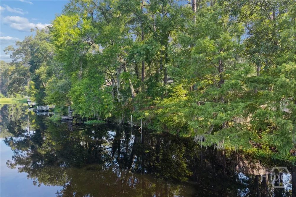 5 Pine Ridge Trail Ellabell, GA 31308