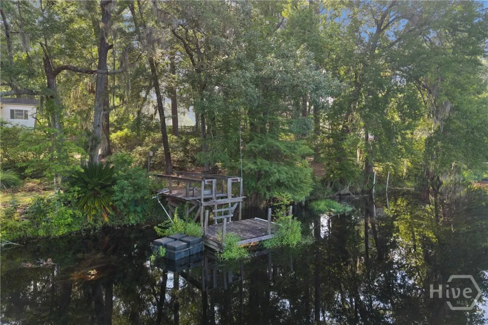 5 Pine Ridge Trail Ellabell, GA 31308