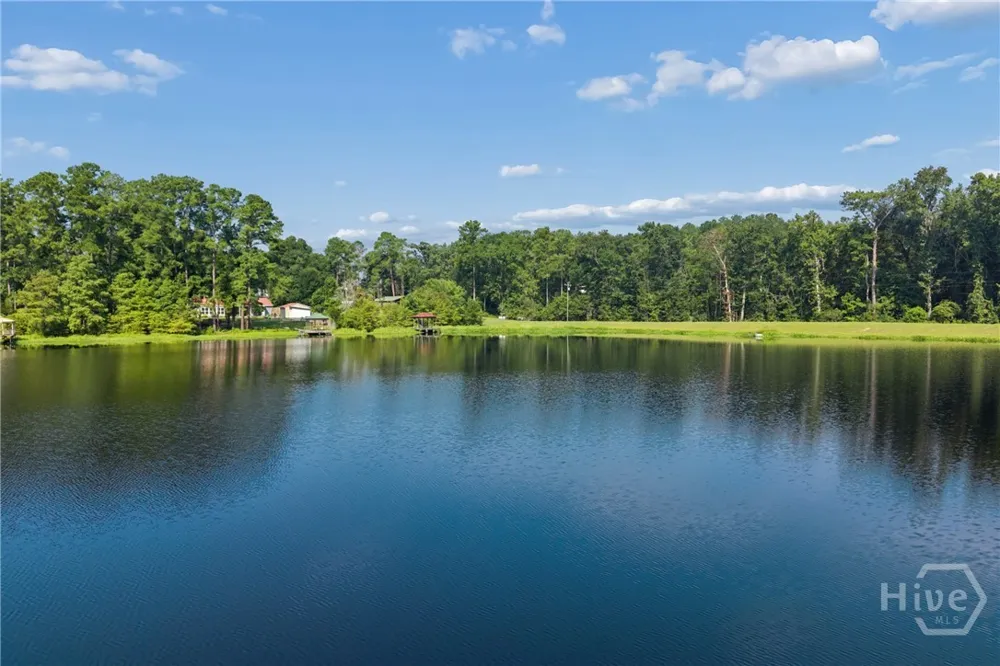 5 Pine Ridge Trail Ellabell, GA 31308
