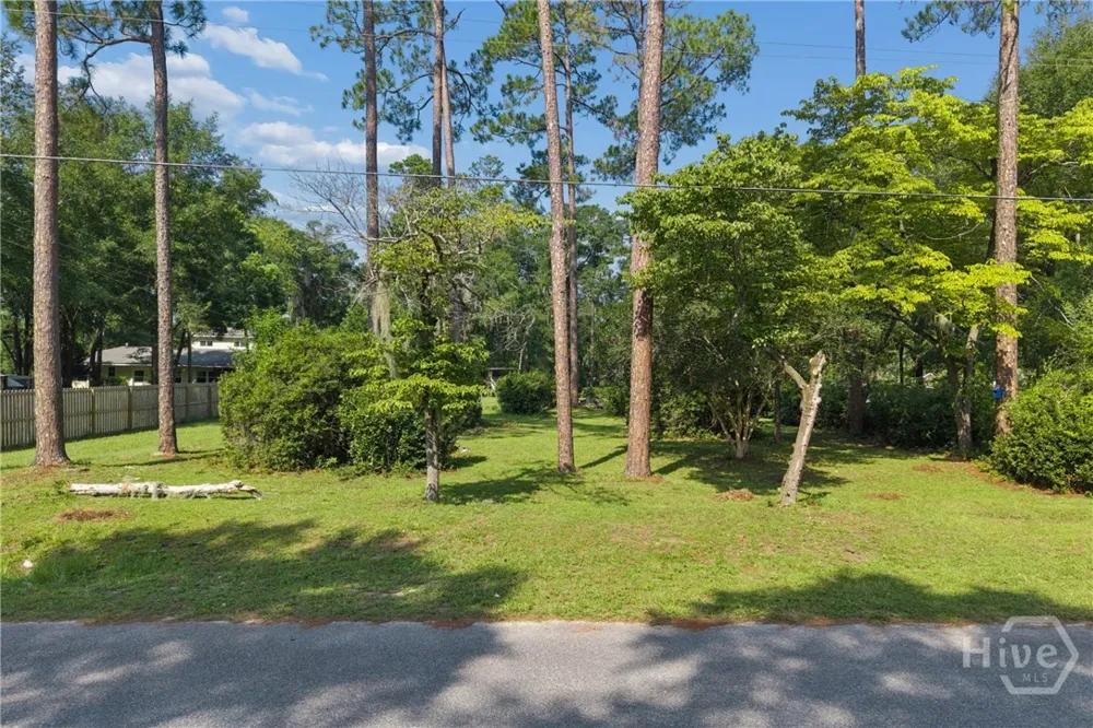 5 Pine Ridge Trail Ellabell, GA 31308