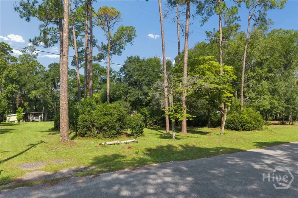 5 Pine Ridge Trail Ellabell, GA 31308