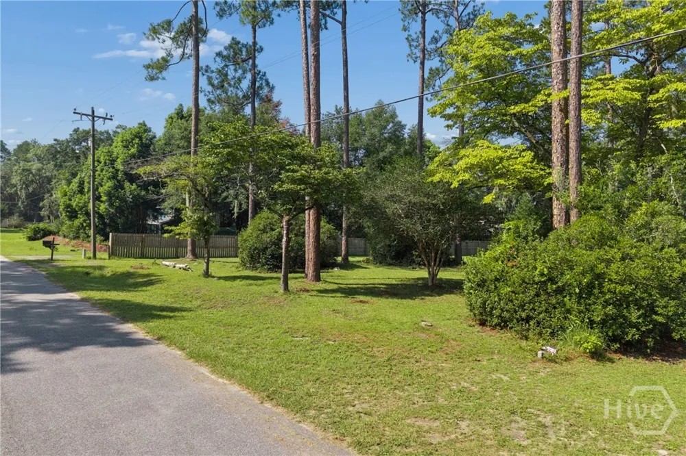 5 Pine Ridge Trail Ellabell, GA 31308