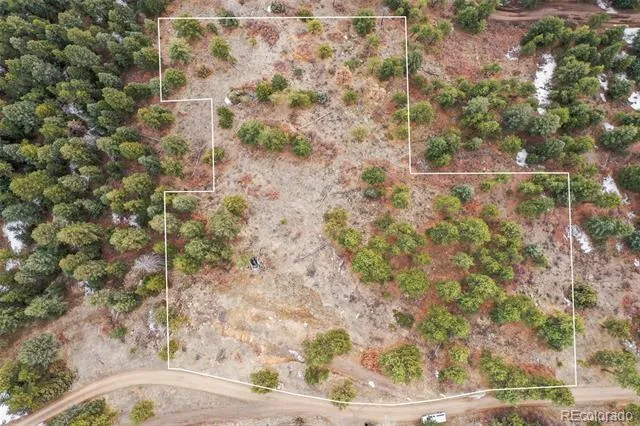 5312 Adahi Road Indian Hills, CO 80454