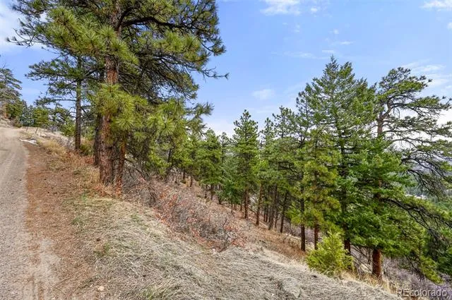 5312 Adahi Road Indian Hills, CO 80454