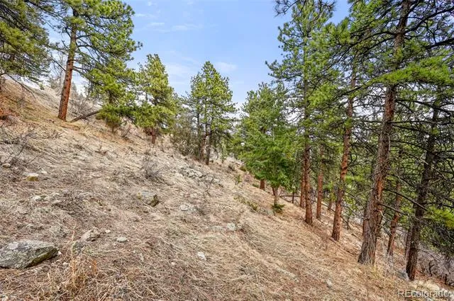 5312 Adahi Road Indian Hills, CO 80454