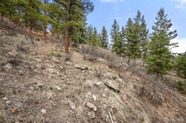 5312 Adahi Road Indian Hills, CO 80454