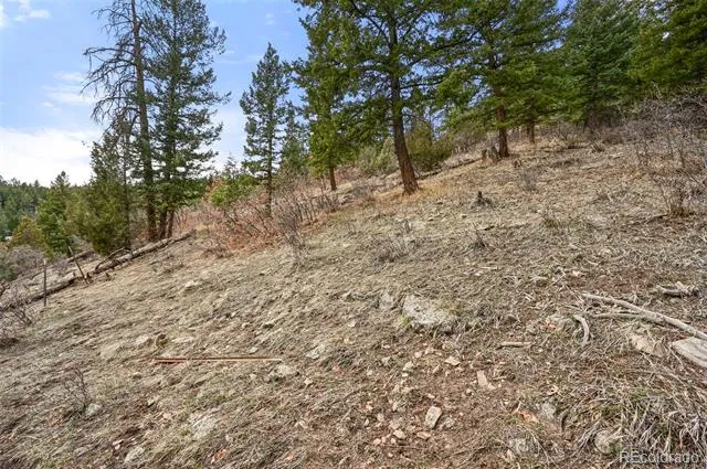 5312 Adahi Road Indian Hills, CO 80454